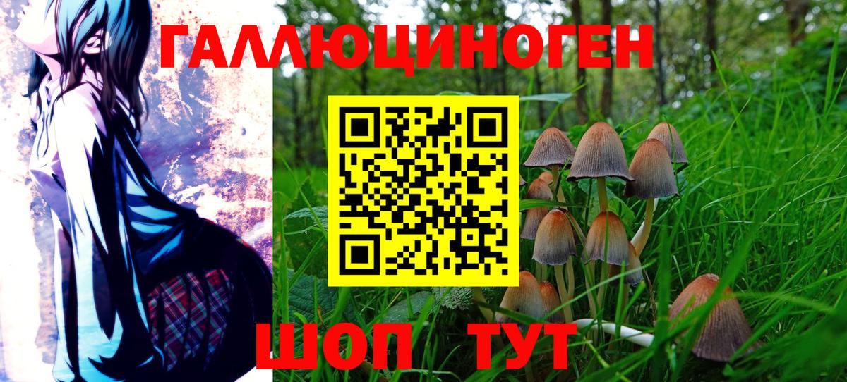 Галлюциногенные грибы Cubensis Ногинск